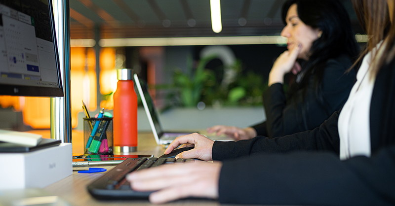 Programa aceleración la Lonja